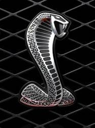 pic for Cobra