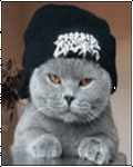 pic for Cool