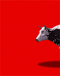 pic for Cow