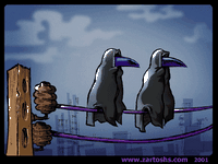 pic for Crows