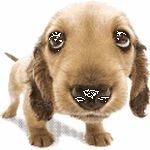 pic for Dog