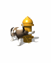 pic for Dog