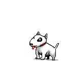pic for Dog