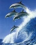 pic for Dolphins