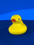 pic for Duck