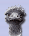 pic for Emu