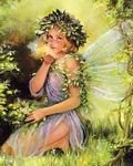 pic for Fairy