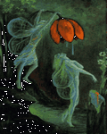 pic for Fairy