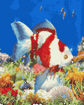 pic for Fish