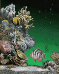 pic for Fishes