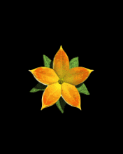 pic for Floare