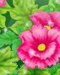 pic for Flowers