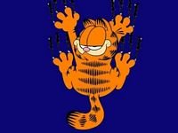 pic for Garfield