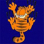 pic for Garfield