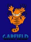 pic for Garfield