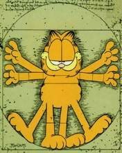 pic for Garfield