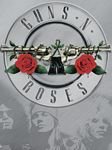 pic for GunsAndRoses