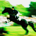 pic for HORSES