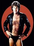 pic for Hasselhoff