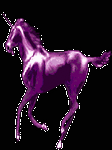 pic for Horse