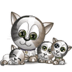 pic for Kitten