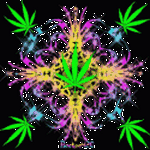pic for Leaves