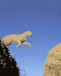 pic for Leopard
