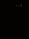 pic for Lightning