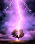 pic for Lightning