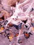 pic for Mariposas
