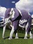 pic for Milka