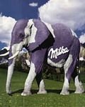 pic for Milka