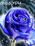 pic for MissU