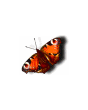 pic for Mobile