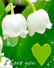 pic for Mobile
