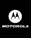 pic for Motorola