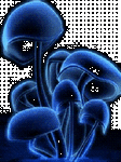 pic for Mushrooms