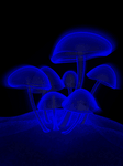 pic for Mushrooms