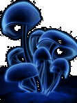 pic for Mushrooms