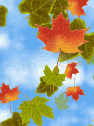 pic for Nature