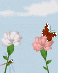 pic for Nature