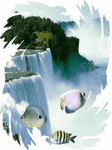 pic for Nature