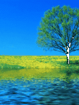 pic for Nature
