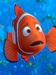 pic for Nemo