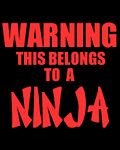 pic for Ninja!