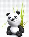 pic for Panda