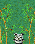 pic for Panda