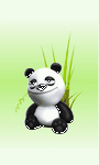 pic for Panda