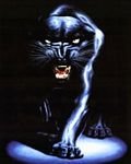pic for Panther