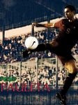 pic for Pauleta